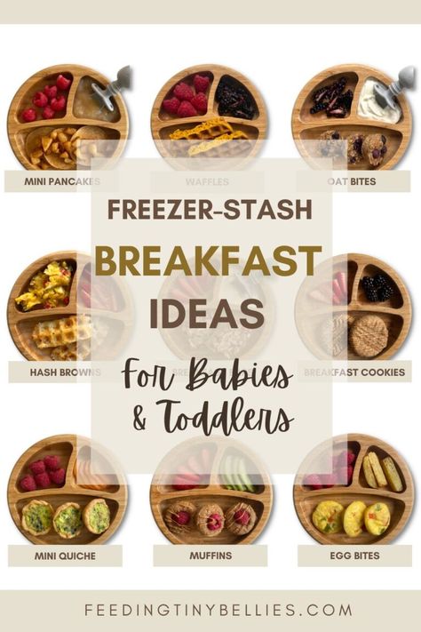 Breakfast Ideas For Toddlers And Babies (Freezer Friendly) - Feeding Tiny Bellies Blw Breakfast Meal Prep, Breakfast Ideas For Infants, Freezable Blw Recipes, 10 Month Breakfast Ideas, Freezer Meals For Toddlers, 8 Month Breakfast Ideas, Egg Bites For Toddlers, Freezer Friendly Toddler Meals, 9 Month Breakfast Ideas