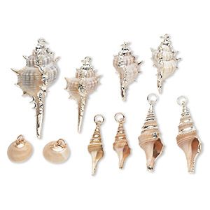 Focal and drop mix, multi-shell (natural) with gold-finished and silver-plated steel, 17x16mm-53x19mm. Sold per pkg of 10. Auger Shell, Wedding Accessories Diy, Gift Journal, Sea Crafts, Seashell Jewelry, Sell Art, Fun Jewelry, Special Interest, Fire Mountain