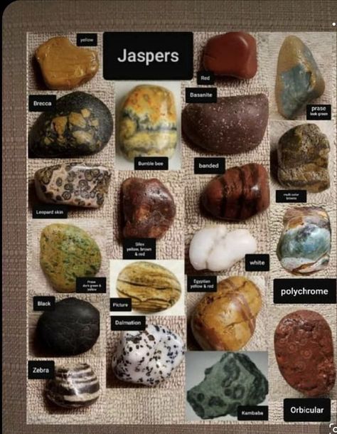 Rock Identification Pictures, Geology Rocks Mineral, Raw Gemstones Rocks, Rock Identification, Minerals Crystals Stones, Gemstones Chart, Rock Tumbling, Agate Rocks, Gems Crystals