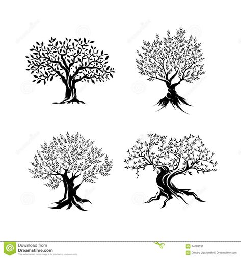 Olive Tree Silhouette Isolated On White ... Tree Tattoos, Web Infographic, Olive Tree Tattoos, Oak Tree Silhouette, Tree Silhouette Tattoo, Trees Silhouette, Pinky Rings, Silhouette Tattoos, Tree Tattoo Designs