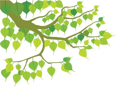 Buddhist Tree on illustration graphic vector Bodhi Tree Drawing, Bodhi Tree Art, Bodhi Leaf, Tree Vector, Bodhi Tree, Tree Illustration, Tree Drawing, Leaf Art, Tree Art