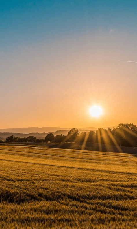 Sunrise Farm, Rural Photography, Victorian Aesthetic, Sunset Background, Beautiful Landscape Wallpaper, Sunrise Photography, Landscape Wallpaper, Nature Aesthetic, Farm Life