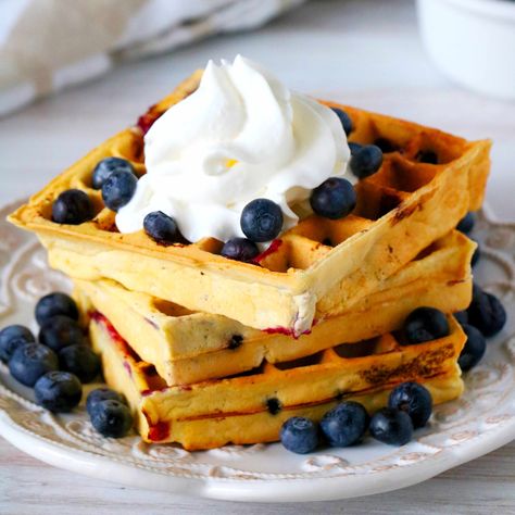 Blueberry Waffles on a plate with blueberries surrounding it and whipped cream on the top. Homemade Waffle Batter, Waffles From Scratch, Blueberry Waffles Recipe, Homemade Waffle, Waffle Batter, Breakfast Cakes, Novice Chef, Blueberry Waffles, Fluffy Light