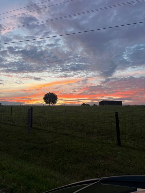 sunset, out in the rual area of kentucky Kentucky Sunset, Rodeo Life, Beauty Places, Lexington Ky, Sunrise Sunset, Rodeo, Kentucky, Quick Saves, Beauty