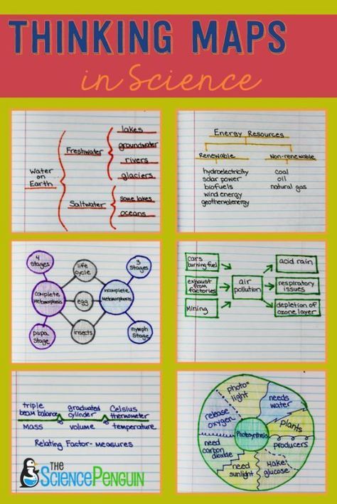 Using the 8 Thinking Maps in Science: Examples and Pics. Input and Output. Making connections. Science Notebooks, Thinking Map, Thinking Maps, 7th Grade Science, Dysgraphia, Science Notebook, 8th Grade Science, Interactive Science, 4th Grade Science