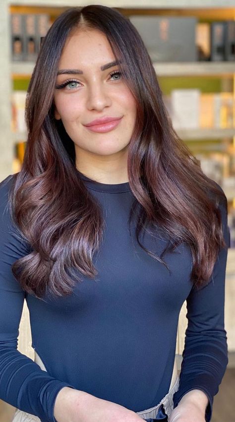 Dark Brunette With Purple Undertones, Chocolate Brown Purple Hair, Deep Chocolate Plum Hair Color, Subtle Plum Hair, Dark Hair Cool Skin Tone, Brown Hair With Violet Undertones, Chocolate Plum Hair Color, Chocolate Plum Hair, Plum Brown Hair Color