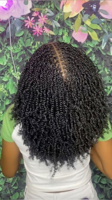 Mini Twists Natural Hair, Long Afro, Micro Braids Hairstyles, Latest Hair Braids, Twists Hairstyles, Cabello Afro Natural, Hair Twists, Short Box Braids Hairstyles, Quick Natural Hair Styles