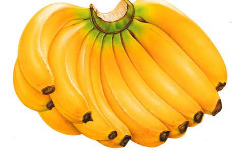 Bananas Banana Nutrition Facts, Banana Nutrition, Banana Wallpaper, Russian Tortoise Diet, Banana Health Benefits, Banana Benefits, Tropical Food, 100 Calorie, Eating Bananas