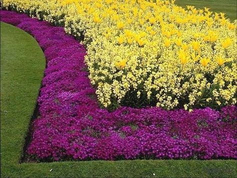 Invisible Flower Bed Borders for Natural and Beautiful Garden Design Flower Bed Borders, Flower Bed Edging, Landscape Borders, Flower Bed Designs, Potager Garden, Easy Landscaping, Garden Edging, Garden Borders, Flower Bed