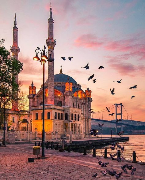 Best vacation destinations Istanbul Pictures, Istanbul Turkey Photography, Nice Photography, Istanbul Photography, Travel Turkey, Istanbul City, Istanbul Travel, Mosque Architecture, Beautiful Mosques