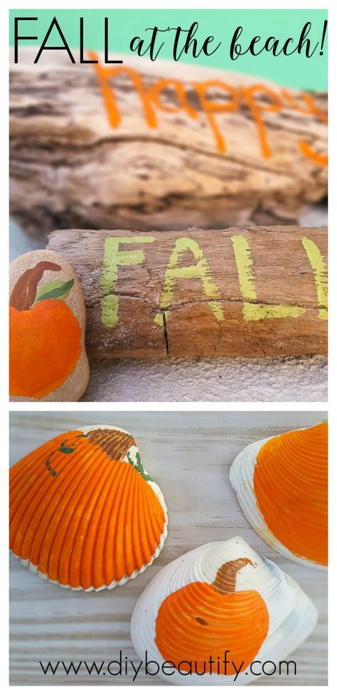 When you find yourself living at the beach during the fall, find a way to… Fall Driftwood Decor, Fall Beach Camping, Thanksgiving Shell Crafts, Fall Beach Theme Decor, Fall Seashell Crafts, Seashell Thanksgiving Crafts, Fall Beach Birthday, Halloween Shell Crafts, Beachy Halloween Decor