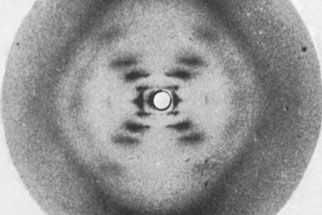 NOVA | Anatomy of Photo 51, Rosalind Franklin's x-ray of the double helix structure of DNA James Watson, Rosalind Franklin, Dna Replication, Science Nerd, Science Lover, Double Helix, Molecular Biology, Charles Darwin, Nanotechnology