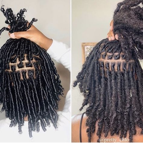 Curly Starter Locs, Coil Locs Before And After, Stud Hairstyles, Dreadlocks Hair Care, Leda Muir, Black Hair Growth, Loc Inspiration, Dreadlock Hairstyles For Men, Beautiful Dreadlocks