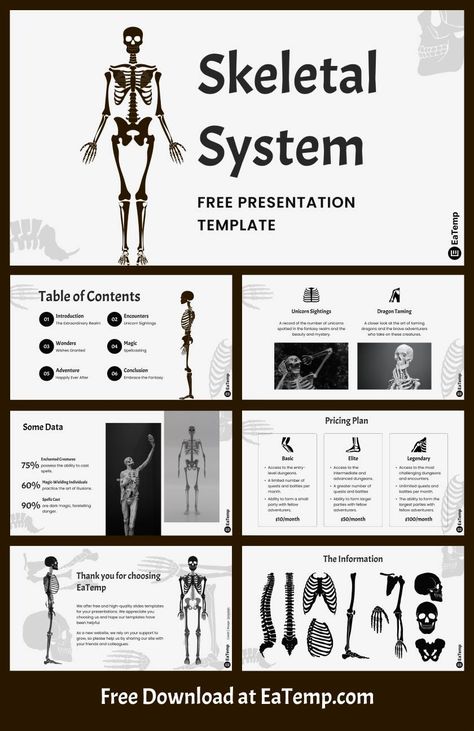 Skeletal System 13 Skeleton System, School Presentation, Best Presentation Templates, Muscle System, Graphic Design Cv, Powerpoint Free, Presentation Design Layout, Skeletal System, Project Planning