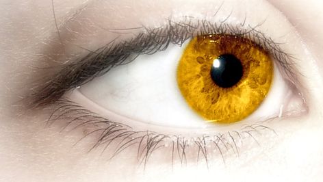 Eyes Alcohol, Blake Belladonna, Golden Eyes, Gold Eyes, Etude House, Legolas, Yellow Eyes, Mystic Messenger, Throne Of Glass