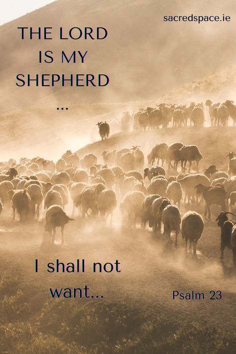 Daily Scripture Quotes, I Need You Lord, Bible Reflection, I Have Everything I Need, I Shall Not Want, St Ignatius, Short Prayers, Why Do Men, The Lord Is My Shepherd