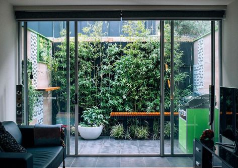 Closed Courtyard Ideas, Pocket Garden Design, Small Enclosed Courtyard Ideas, Pocket Garden Ideas, Lightwell Garden, Small Interior Garden, Pocket Garden Small Spaces, Small Indoor Courtyard, Enclosed Courtyard Ideas