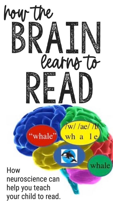 Brain Based Learning Activities, Best Way To Teach Reading, Science Of Reading For Parents, Teach To Read, How To Teach Kids To Read, Science Of Reading Vocabulary, Reading Intervention Science Of Reading, Teach Child To Read, Teach Your Child To Read In 100 Lessons