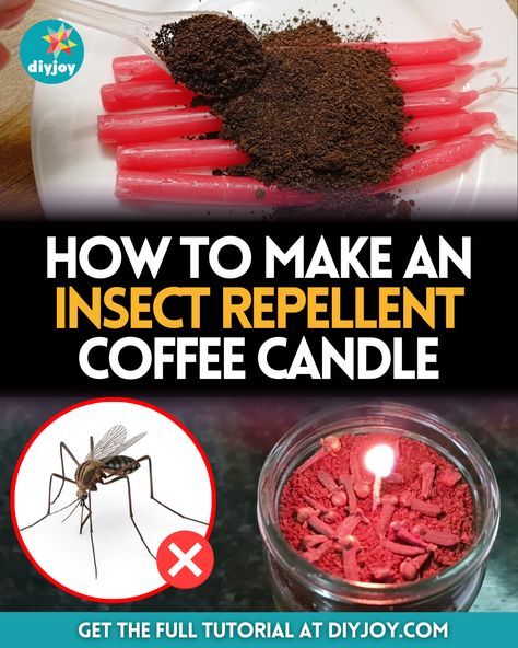 Diy Insect Repellent, Diy Mosquito Repellent Candle, Bug Repellent Candles, Diy Coffee Candle, Diy Bug Repellent, Wine Bottle Tiki, Mosquito Repellent Candle, Mosquito Repellent Homemade, Wine Bottle Tiki Torch