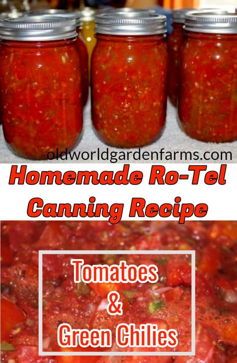 How To Can Homemade Rotel, Homemade Canned Rotel, Diy Rotel Canning, Canning Rotel Tomatoes Recipes For, Rotel Recipe For Canning, Diy Rotel Recipe, Canning Tomatoes For Chili, Homemade Rotel Canning, Canning Rotel Recipe