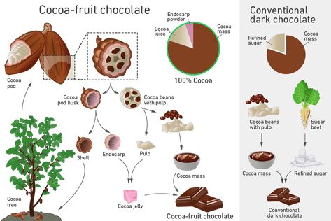 Medical Innovation, Cocoa Fruit, Food Technologist, Cacao Fruit, Eth Zurich, Wine Alcohol, Studying Food, Baking Treats, Types Of Chocolate