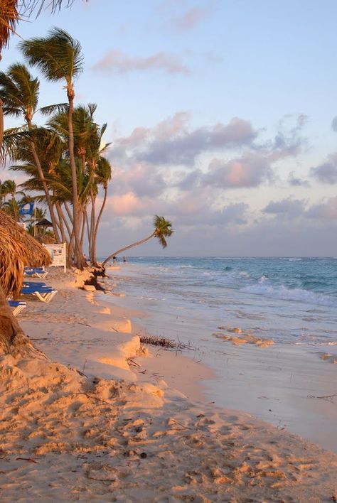 Dominican Republic Beaches, Dominican Republic Travel, Daydream Believer, Landscape Posters, Holiday Inspo, Vacay Vibes, Punta Cana Dominican Republic, Lovely Places, Senior Trip