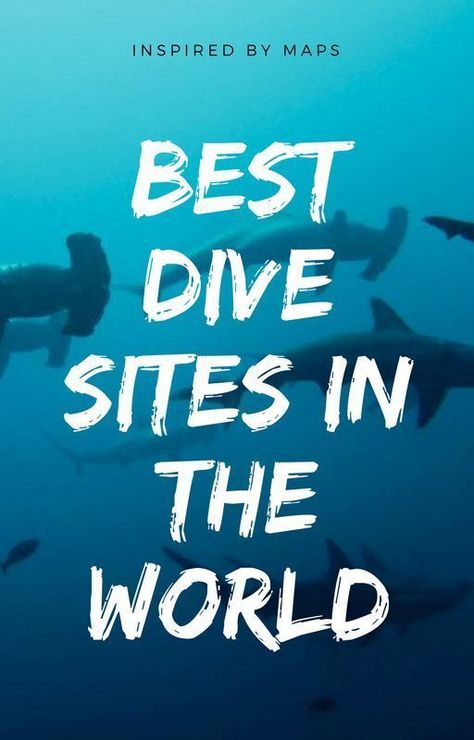 Diving Thailand, World Bucket List, Cheap Land, Scuba Diving Photography, Diving Photography, Whale Sharks, Scuba Diving Gear, Best Scuba Diving, Water Adventure