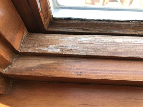 Refinishing Interior Windows - Lake Area Painting & Decorating, St. Paul, MN Refinish Window Sill, Painting Window Sills Interiors, Refinishing Wood Trim, Wood Window Trim, Wooden Window Sill, Wood Window Sill, Window Makeover, Stained Wood Trim, Old Wood Windows