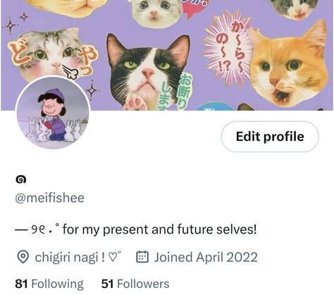 Aesthetic Bio For Twitter, Twitter Account Aesthetic, Instagram Profile Layout, Twitter Account Ideas, Twitter Layout Ideas, Twitter Bio Ideas, Ig Profile Ideas, Bio Twitter, Layouts Twitter