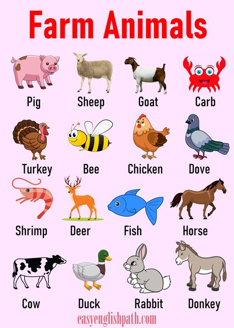 Farm Animals List A-Z in English with Pictures. Farm Animal Vocabulary with Meaning Vocabulary With Meaning, Farm Animals List, Animals Name List, Animal Vocabulary, Animals List, Animals Name In English, Nocturnal Birds, Animal Names, List Of Animals