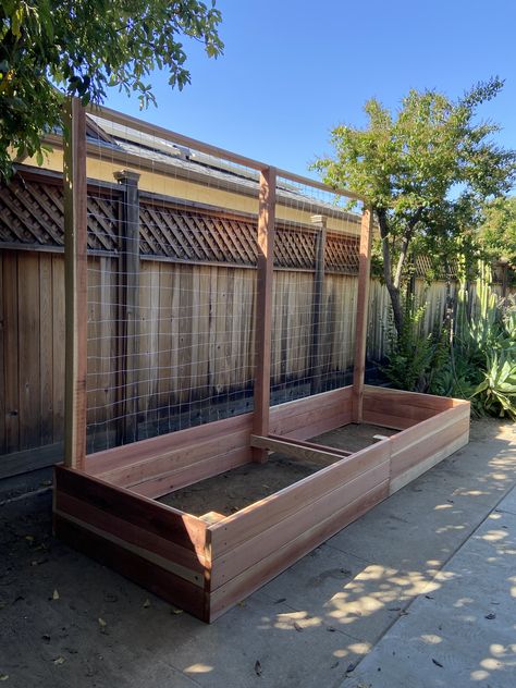 12' Garden box with trellis Garden Box With Trellis, Cheap Garden Beds, Garden Bed With Trellis, Colorado Garden, Backyard Planters, Raised Garden Beds Diy Vegetables, Tomato Growing, Planter Box With Trellis, Garden Hacks Diy