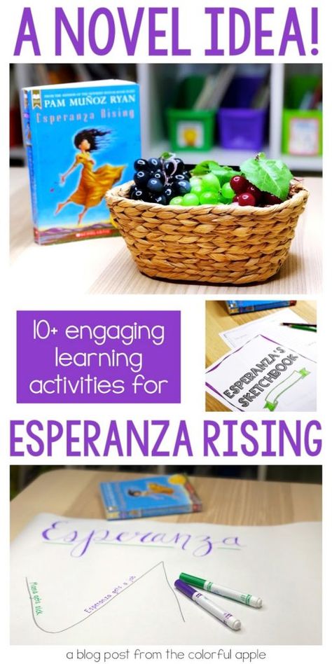 Esperanza Rising Activities, Spanish Novels, Reading Engagement Strategies, Classroom Necessities, Book Study Activities, Esperanza Rising, Reading Interventionist, 5th Grade Ela, 5th Grade Reading