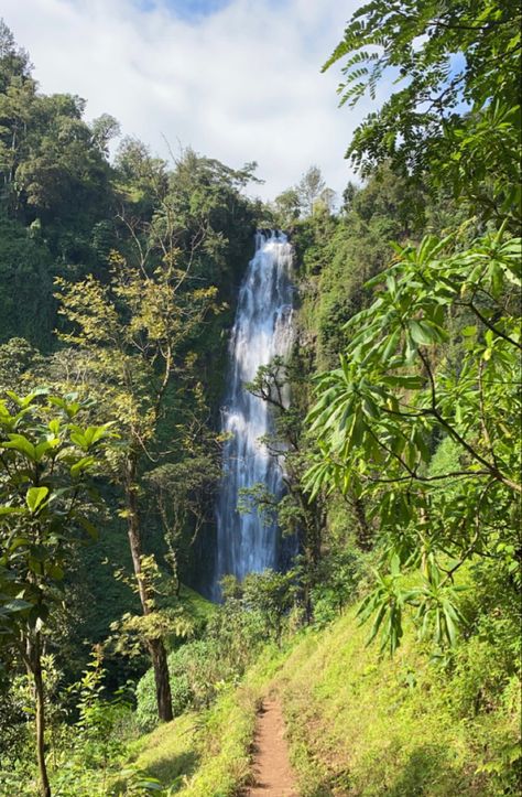 Jungle Asethic, Africa Rainforest, Savanna Aesthetic, Zanzibar Tanzania Photography, Africa Travel Aesthetic, Tropical Rainforest Aesthetic, Travel Aesthetic Africa, Afrika Aesthetic, Zimbabwe Aesthetic