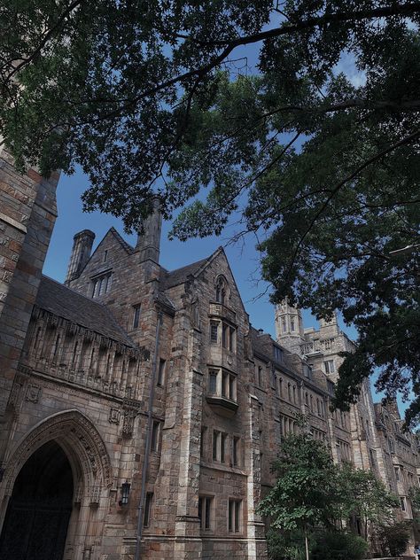 yale university ivy league aesthetic dark academia Ivy League Academia Aesthetic, The Ivies Book Aesthetic, Ivy University Aesthetic, The Ivy League Aesthetic, Iv League Aesthetic, College University Aesthetic, Ivy League Vision Board, Ivy College Aesthetic, Ivy League College Aesthetic