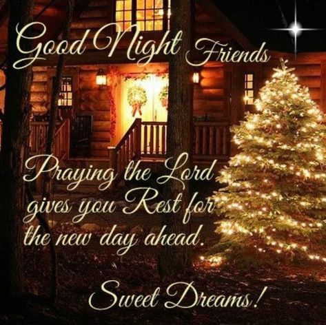 Good night Friends. Praying the Lord gives you rest for the new day ahead. Sweet dreams! Christmas Good Night Quotes, Goodnight God Bless, Christmas Good Night, Nite Quotes, Proverbs 17, Blessed Night, Prays The Lord, Good Night Everyone, Night Greetings