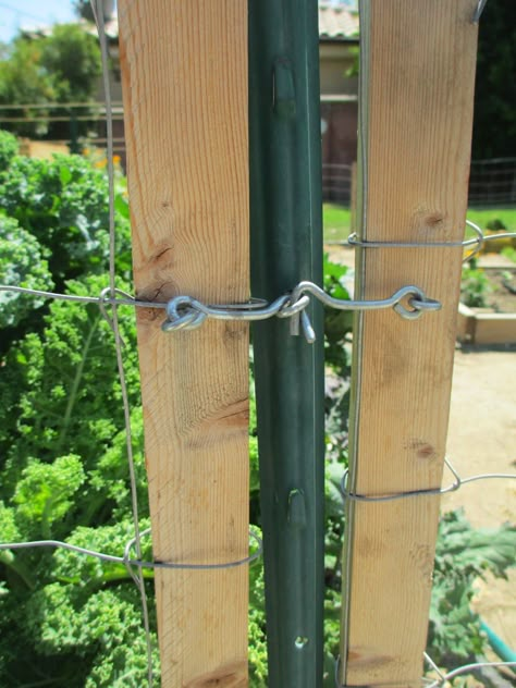 Inexpensive Garden Fencing Ideas, Galvanized Wire Fence Ideas, T Post Fence With Gate, Easy Garden Fencing Diy, Small Diy Fence, Chicken Fence Diy, Diy Gate For Fence, Easy Gate Ideas, Easy Gate Diy