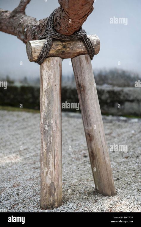 Pacific Northwest Garden, Tree Props, Northwest Garden, Tree Support, Japanese Garden Design, Old Tree, Photo Tree, Kyoto Japan, Beach Chairs