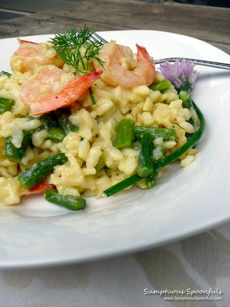 Rich and creamy risotto with tender shrimp and asparagus, the sharpness of Asiago cheese, and a bit of fresh dill and chives to add flavor. Asiago Risotto, Asparagus Risotto, Shrimp And Asparagus, Risotto Recipe, Shrimp Dishes, Risotto Recipes, Asiago, Asparagus Recipe, Fresh Dill