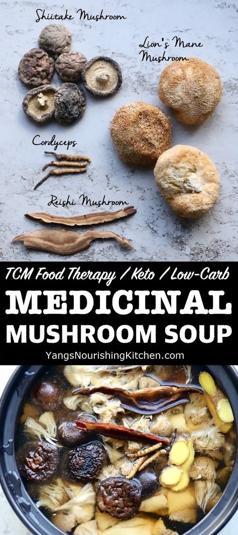 Healing Mushroom Soup, Medicinal Soup Recipes, Medicinal Mushroom Recipes, Mushroom Stock Recipe, Dried Mushroom Soup, Mushroom Broth Soup, Chinese Mushroom Soup, Reishi Mushroom Recipe, Dried Mushroom Recipes