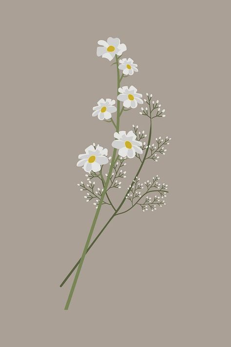 Jasmine Flower Background, Renesance Art Wallpaper, Flower Jasmine, Perfume Logo, Cute Easy Doodles, Jasmine Flower, Flowers Aesthetic, Iphone Wallpaper Themes, Dont Touch My Phone Wallpapers