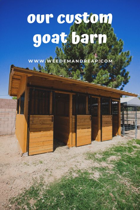 Goat Pen Ideas Pallets, Goat Lean To Shelter, Goat Shed Ideas, Goat Barn Ideas, Small Animal Barn, Goat Pen Ideas, Goat Houses, Goat Pens, Goat Shelters