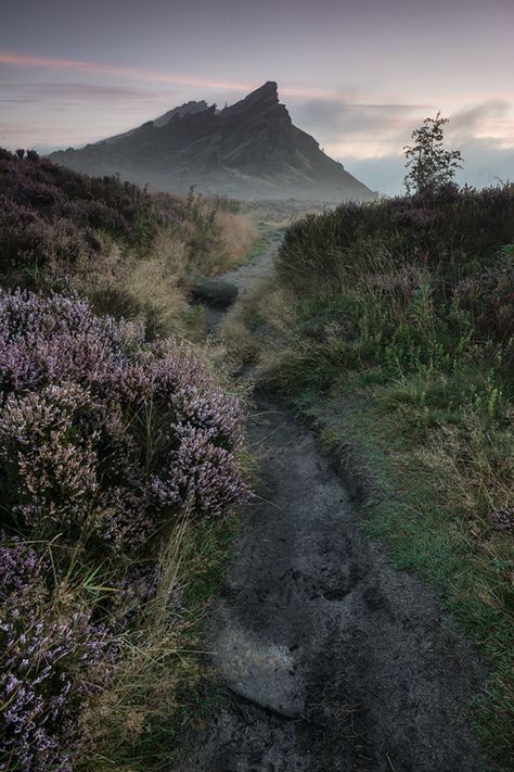 Windclan Aesthetic, Scottish Forest, Slow Summer, Ski Hotel, Australia Landscape, Calming Nature, Misty Forest, Jane Eyre, Forest House