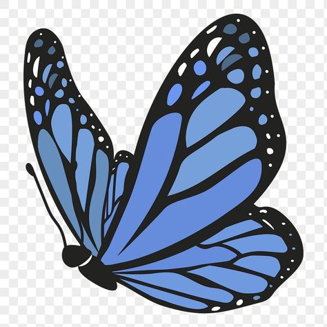 Butterfly Cartoon Images, Blue Transparent Png, Blue Butterfly Png, Cartoon Butterflies, Graffiti Bag, Butterfly Cartoon, Png Butterfly, Butterfly Vector, Deck Art