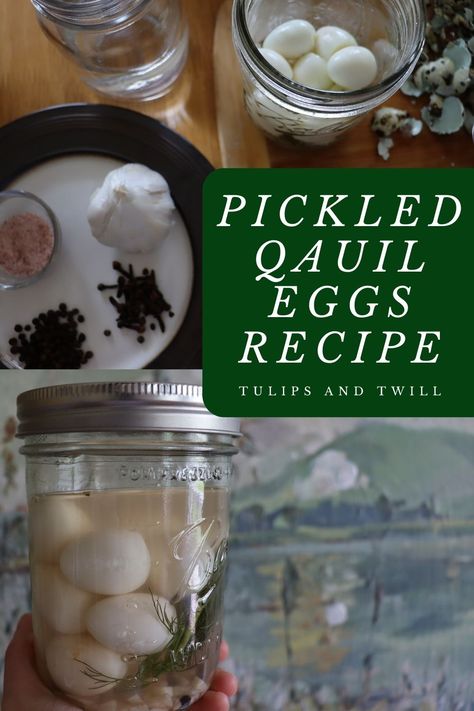 This simple pickled quail egg recipe is a delicious must-have as you find uses for all those eggs! Simple and yummy you only need a few ingredients to make these delicious pickled eggs! Pickled Quail Eggs Recipe Easy, Pickled Quail Eggs Recipe, Quail Eggs Recipe, Pickled Chicken, Preserve Eggs, Pickled Quail Eggs, Quail Recipes, Pickled Eggs, Spring Treats