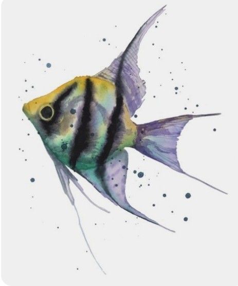 Coastal Animals, Watercolor Angel, Art Fish, Watercolor Fish, Animal Art Prints, Fish Fish, Fish Drawings, Blue Fish, Art Life