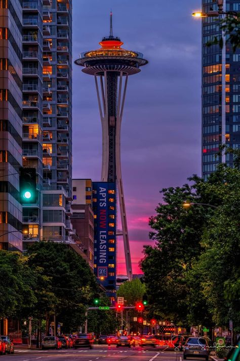 One last look at the “Galaxy Gold” on Space Needle. I am really glad I went out to shoot the sunset last night, as today they repainted the Needle to Astronaut White. Photo of what it looks like today in the comments. I will miss this gold/orange for sure, how about you? Seattle Aesthetic Wallpaper, University Of Washington Aesthetic, Seattle Background, University Of Washington Seattle Aesthetic, Seattle Washington Aesthetic, Seattle Wallpaper, Aesthetic Seattle, Seattle At Night Aesthetic, Seattle Scenery