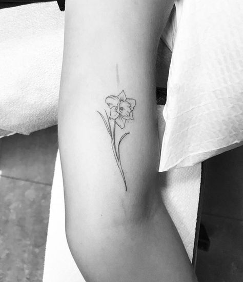 No my work Hay Tattoo, Mila Tattoo, Daffodil Tattoo Design, Month Tattoos, Narcissus Tattoo, Daffodil Flower Tattoos, Narcissus Flower Tattoos, Daffodil Tattoo, Flower Tattoo Meanings