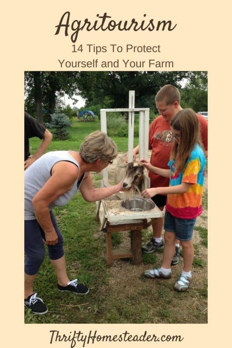 Permaculture, Agritourism Farms, Farm Tourism, Goat Health, Chicken Tractors, Farm School, Farm Day, Farm Business, Farm Store