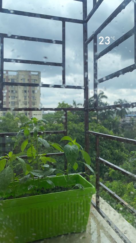 The calm after a heavy rainfall!!✨🫶🏻 #aesthetic #sky #bluesky #rainyday #rainaesthetic #raining #trees #nature #story #instastory #instastories #snapstreak #snapchatideas #snap #explore #fyp #foryoupage #aestheticphotos #views Rain Day Snapchat Stories, Evening Rain Snap, Rain Day Snap, Rainy Sky Snap, Rain Pics Nature, Rain Aesthetic Snap, Rainy Morning Snap, Rainy Day Snapchat Stories, Rainy Snapchat Stories