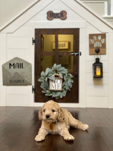 We built a cute little dog house for our new pup to come home to! Built In Dog House In Wall, Dog House Painting Ideas, Two Story Dog House, Built In Dog House, Dog House Under Stairs, Dog Room Under The Stairs, House Under Stairs, Dog Under Stairs, Walnut Staircase